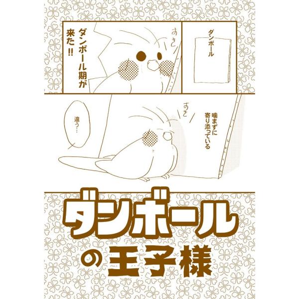 MEIWAノート事務局 ダンボールの王子様 051A0214 　ネコポス対応可能  鳥用品 鳥グッズ...