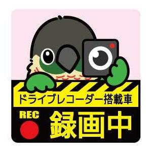 ゆとり屋   ドライブレコーダー ステッカー ウロコインコ ワキコガネ   ネコポス 対応可能　  ...