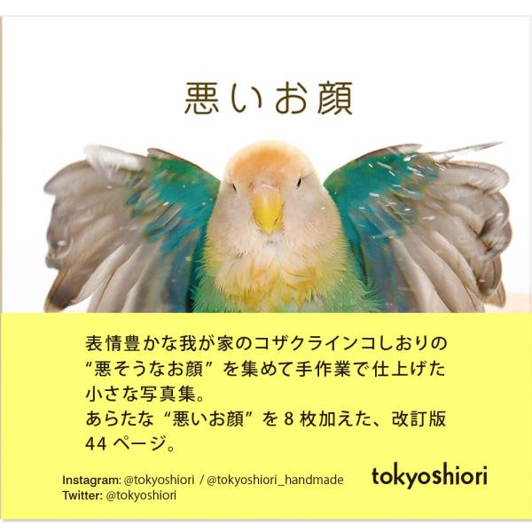tokyoshiori 手製フォトブック 『悪いお顔』 （ 改訂版 ）  コザクラインコ  245A...
