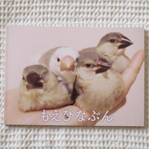 楓工房 写真集 『もえひなぶん』  文鳥  多品種 202A0270　ネコポス 対応可能 BIRDMORE バードモア 鳥用品 鳥グッズ 雑貨 グッズ 鳥 とり トリ｜birdmore