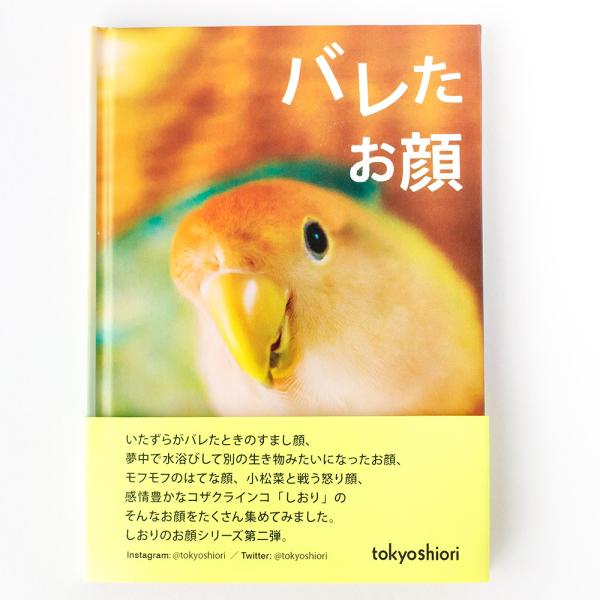 tokyoShiori  手製フォトブック 「 バレたお顔 」 コザクラインコ  245A0253　...