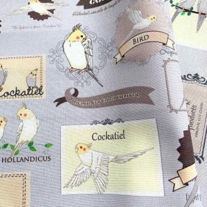 新品 未使用 可愛い オカメインコ トールペイント 作品 コルクボード Sculptpro Co Uk