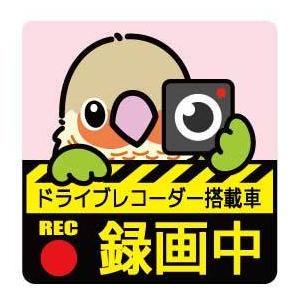 ゆとり屋 ドライブレコーダー ステッカー ウロコインコ サンチーク ネコポス 対応可能　BIRDMO...