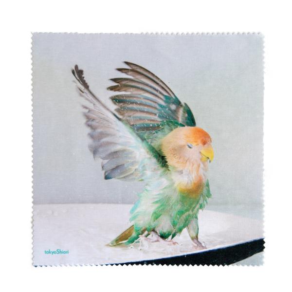 tokyoShiori   眼鏡拭き2（大） コザクラインコ   245A0268　ネコポス 対応可...