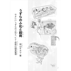 ことり御屋 書籍 うずらのふ化と飼育 234A...の詳細画像1