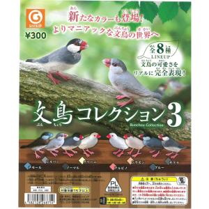 ガチャガチャ 文鳥コレクション3（1個） BIRDMORE バードモア 鳥用品 鳥グッズ 雑貨 鳥 とり プレゼント｜birdmore