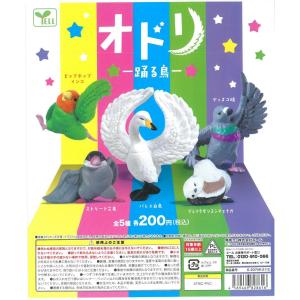 ガチャガチャ　オドリ - 踊る鳥 -  ( 1個 )  BIRDMORE バードモア 鳥用品 鳥グッズ 雑貨 鳥 とり プレゼント｜birdmore