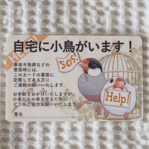 楓工房 緊急連絡先カード・文鳥 文鳥 ・桜、白...の詳細画像1