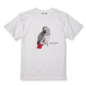 ゆとり屋　Tシャツ　ヨウム　サイズ：M　 BIRDMORE バードモア 鳥用品 鳥グッズ 鳥 とり トリ インコ プレゼント