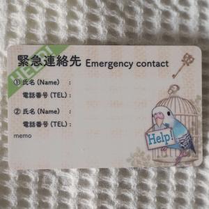 楓工房 緊急連絡先カード・セキセイインコ セキ...の詳細画像1