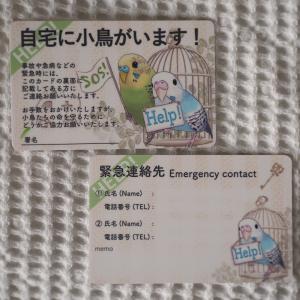 楓工房 緊急連絡先カード・セキセイインコ セキ...の詳細画像2