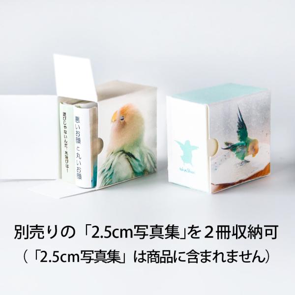 tokyoshiori   ワンタッチボックス二個セット   コザクラインコ   245A0284 ...