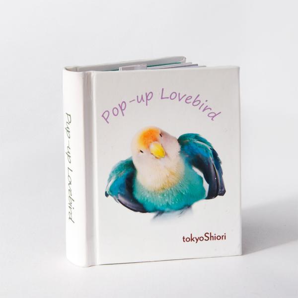 tokyoshiori 仕掛け絵本  「 Pop-up Lovebird 」 コザクラインコ  24...