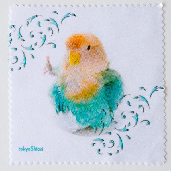 tokyoshiori  眼鏡拭き（小）水浴びハーイ  コザクラインコ  245A0298 ネコポス...