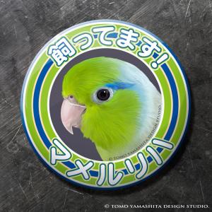 TOMO YAMASHITA DESIGN STUDIO. 缶バッジ マメルリハ グリーン 195A0493 ネコポス 対応可能　BIRDMORE バードモア CRAFT GARDEN 鳥用品 鳥グッズ 雑貨 グッズ