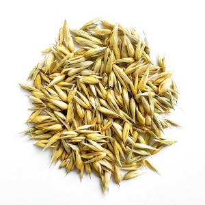 バードモアファーム 笠つきオーツ麦 50g (...の詳細画像1