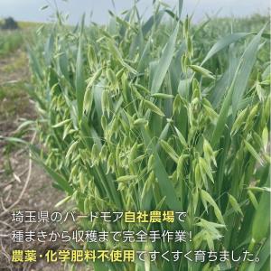 バードモアファーム 笠つきオーツ麦 50g (...の詳細画像3