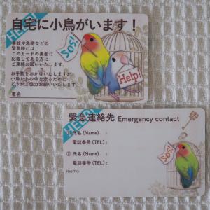 楓工房 緊急連絡先カード・コザクラインコ コザ...の詳細画像2