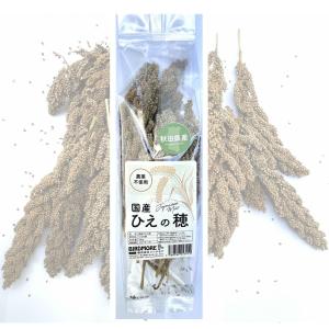 インコ エサ 国産 ( 秋田県産 ) ひえの穂 農薬不使用 100g 9999563 BIRDMORE バードモア 鳥用品