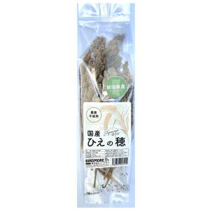 インコ エサ 国産 ( 秋田県産 ) ひえの穂...の詳細画像2