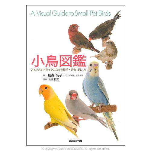 誠文堂新光社 小鳥図鑑 9993280 ネコポス 対応可能 BIRDMORE バードモア 鳥用品 鳥...