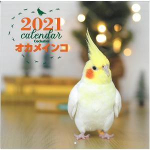 バードモア オリジナル アップル エイコーン 鳥 とり トリ インコ オウム おもちゃ バードモア 0 10 飼鳥用品専門店birdmore 通販 Yahoo ショッピング