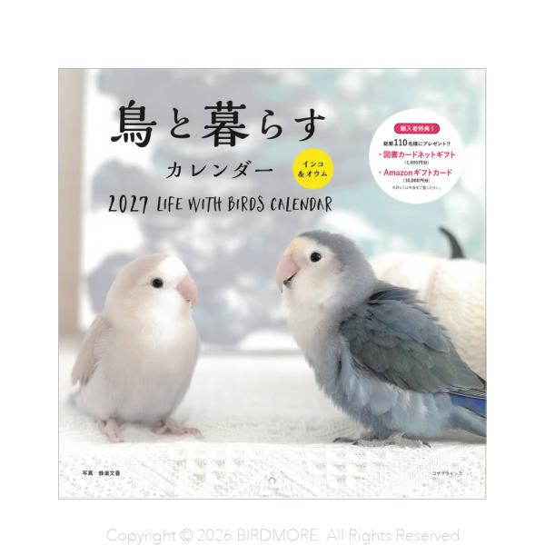 誠文堂新光社 2027年 大判カレンダー 鳥と暮らすカレンダー インコ＆オウム　BIRDMORE バ...