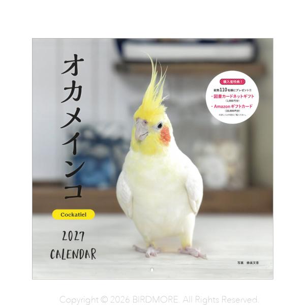 誠文堂新光社　2027年 大判カレンダー オカメインコ　BIRDMORE バードモア