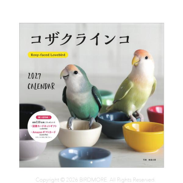 誠文堂新光社　2027年 大判カレンダー コザクラインコ BIRDMORE バードモア