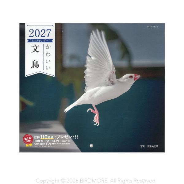 誠文堂新光社 2027年 カレンダー かわいい文鳥 ネコポス対応可能 BIRDMORE バードモア ...