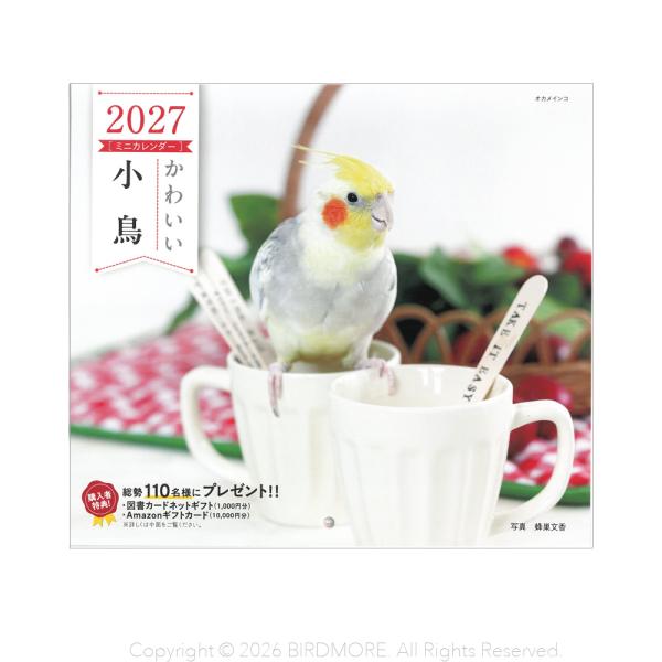 誠文堂新光社 2027年 カレンダー かわいい小鳥 ネコポス対応可能 BIRDMORE バードモア ...