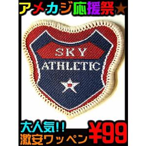 ポイント10倍　17 簡単リメイク 自分だけの一着が1分で作れる ＆アメカジ系激安ワッペン 靴、 服 、帽子、パンツを自由にアレンジ★