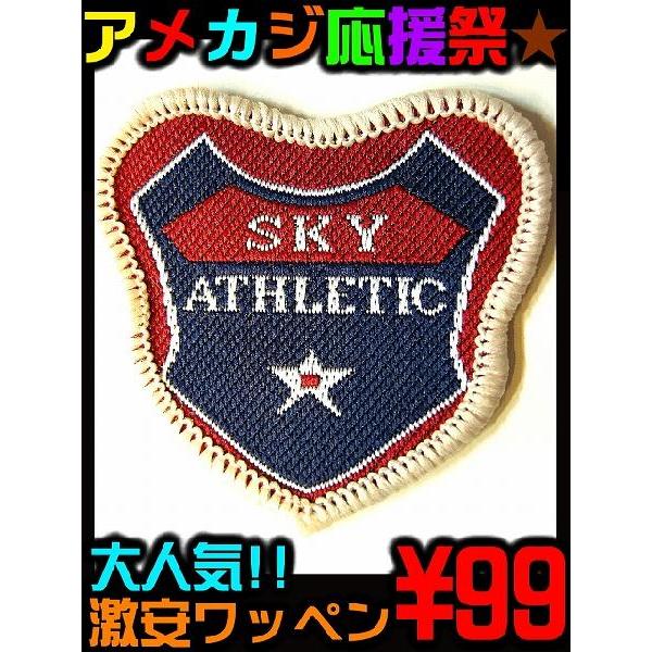 ポイント10倍　17 簡単リメイク 自分だけの一着が1分で作れる ＆アメカジ系激安ワッペン 靴、 服...