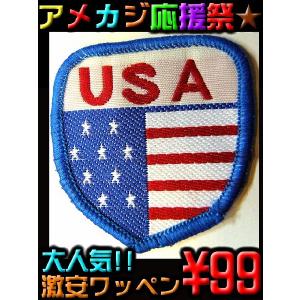 ポイント10倍　29 簡単リメイク 自分だけの一着が1分で作れる ＆アメカジ系激安ワッペン 靴、 服 、帽子、パンツを自由にアレンジ★