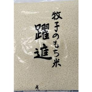 【もち米】【令和５年産】【秋田県産】【5ｋｇ】牧子のもち米「躍進」(白米)