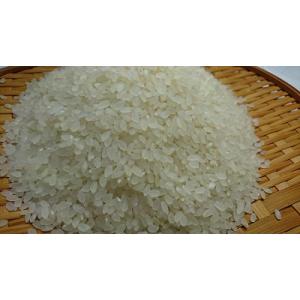 子育て世代応援米　３０ｋｇ【令和７年産】【秋田県産】【あきたこまち】【白米】