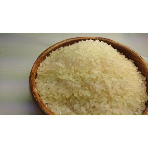 【医者いらず米】【あきたこまち】Ａ白米20ｋｇ【秋田県産】【令和７年産】【送料無料】