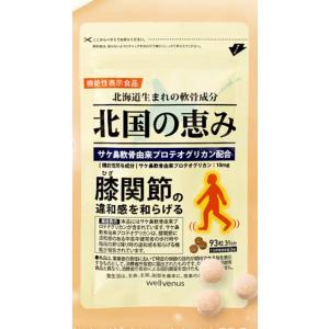 北国の恵み 93粒 約1ヶ月分 グルコサミン プロテオグリカン ウェルヴィーナスの商品画像