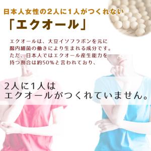 エクオール&発酵高麗人参粒 90粒 3...の詳細画像3