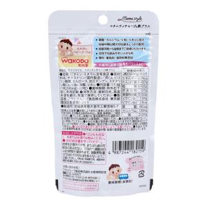 和光堂 ママスタイル マタニティチャージ鉄プラ...の詳細画像1