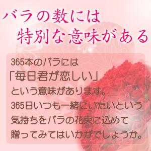 バラ 花束 365本 毎日君が恋しい 薔薇 花...の詳細画像1