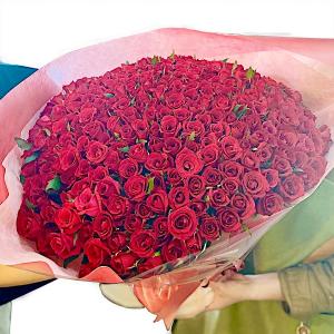 バラ 花束 365本 毎日君が恋しい 薔薇 花...の詳細画像2