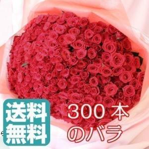 バラの花束 300本 大量 入学 母の日 ボリュ...の商品画像