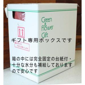 バラの花束 300本 大量 入学 母の日 ボリ...の詳細画像4