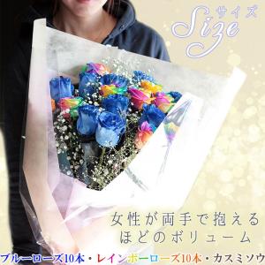 【安心のクール便出荷】【ブルーローズ レインボ...の詳細画像3