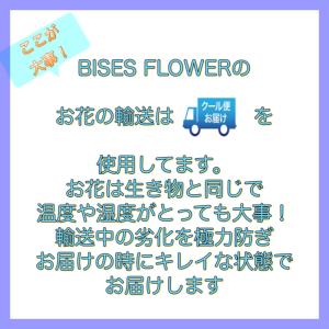 【安心のクール便出荷】【ブルーローズ レインボ...の詳細画像4