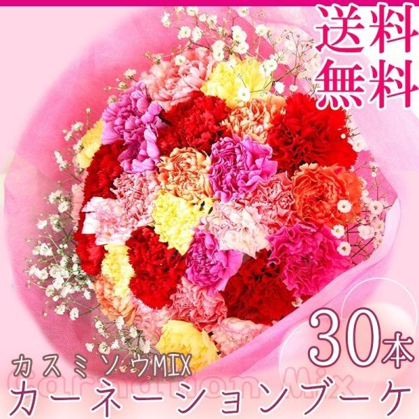 【クール便配送】【5/7~5/10着】母の日 ギフト カーネーション ブーケ 30本 ＋ カスミソウ...