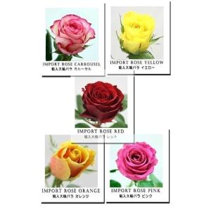 バラ 花束 大輪 1本 440円 10本からお好きな本数を花束に 薔薇 花 生花 ブーケ 誕生日 お祝い 結婚記念日 インポートローズ ギフト プレゼント
