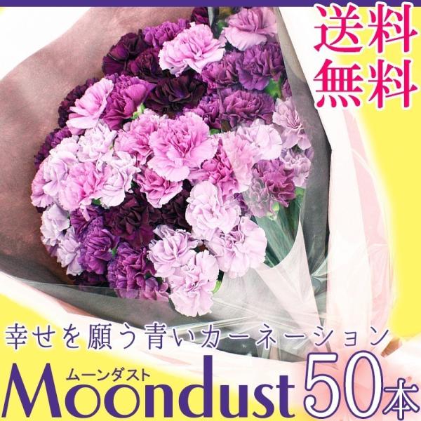 【クール便配送】【5/7~5/10着】母の日 カーネーション ムーンダスト 花束 50本 送料無料 ...