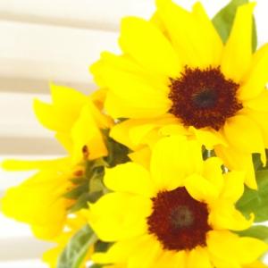 ひまわりの花束 10本から本数を選べる 生花の詳細画像1